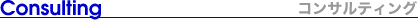 Consulting RTeBO